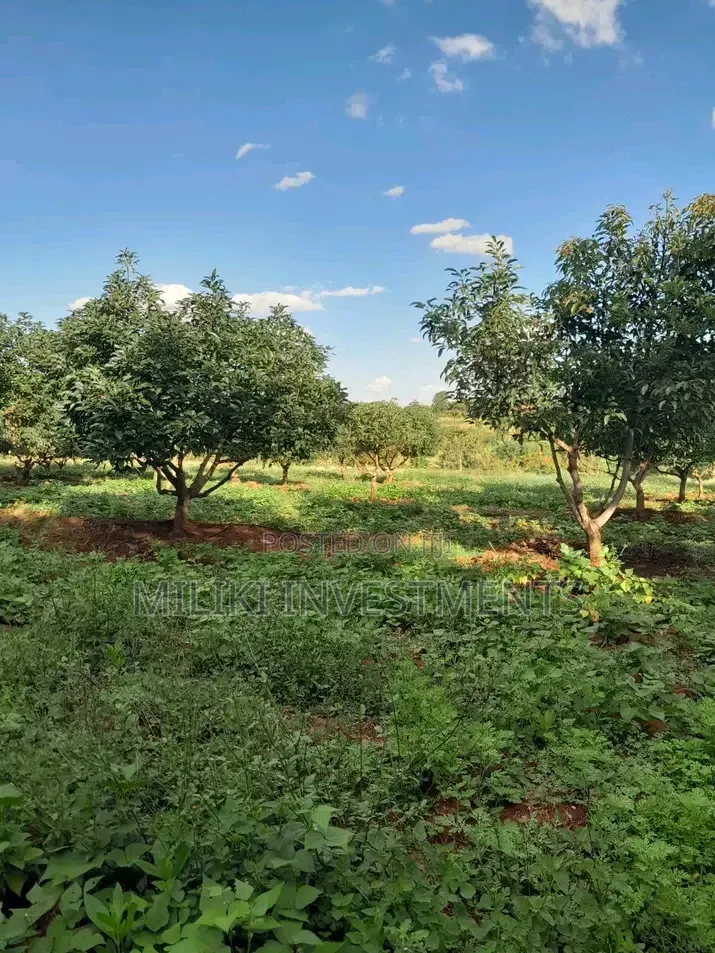 7.5 Acres on Sale at Mwea -Embu