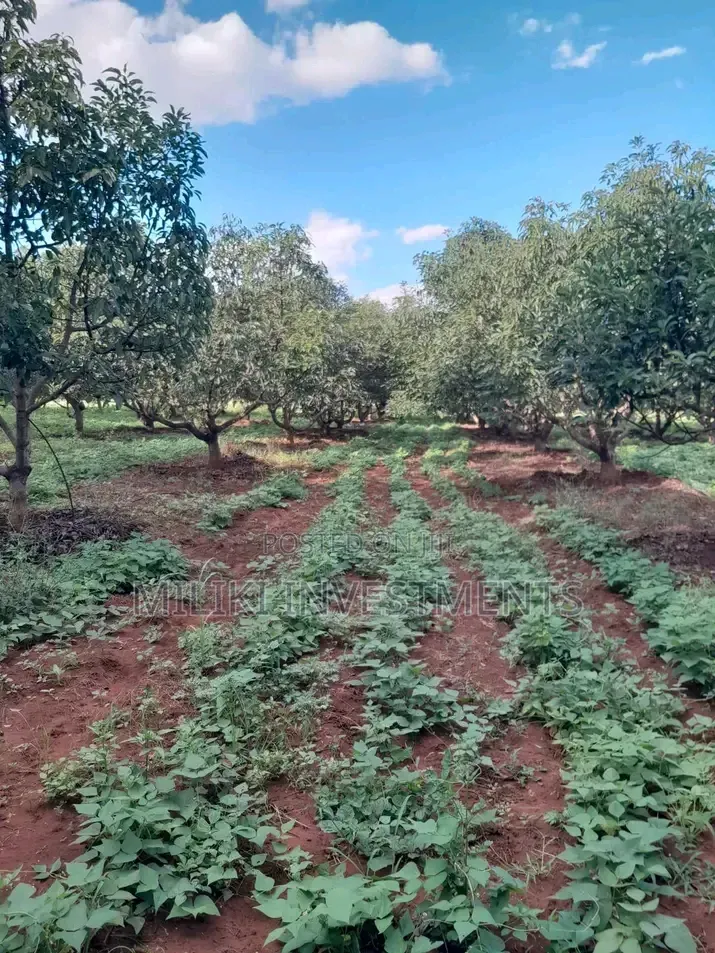 7.5 Acres on Sale at Mwea -Embu