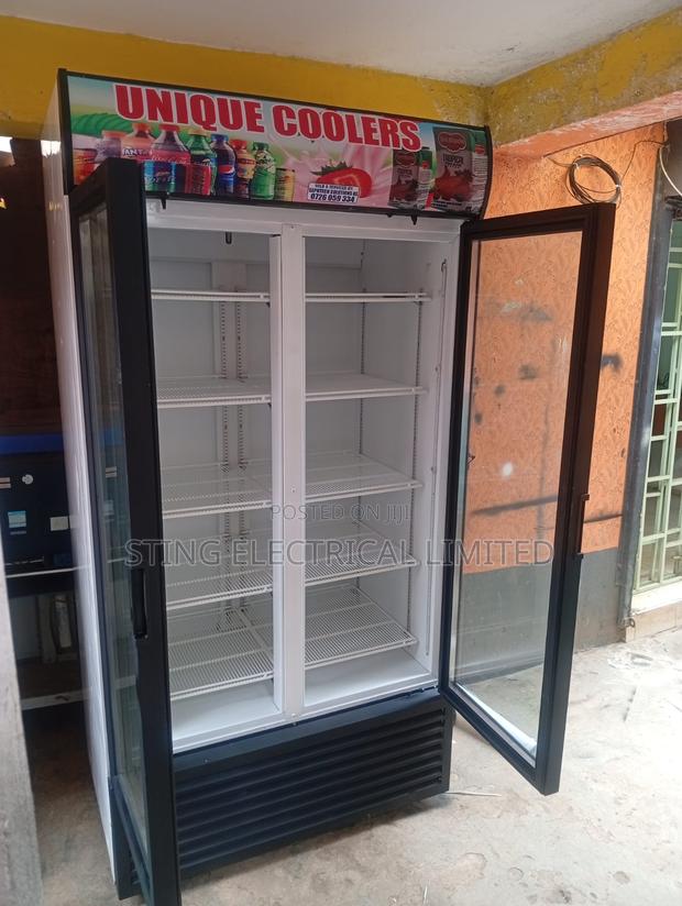 Double-Door 1200 LTRS Display Fridges