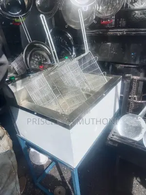 Stainless Steel Double Chips Fryer