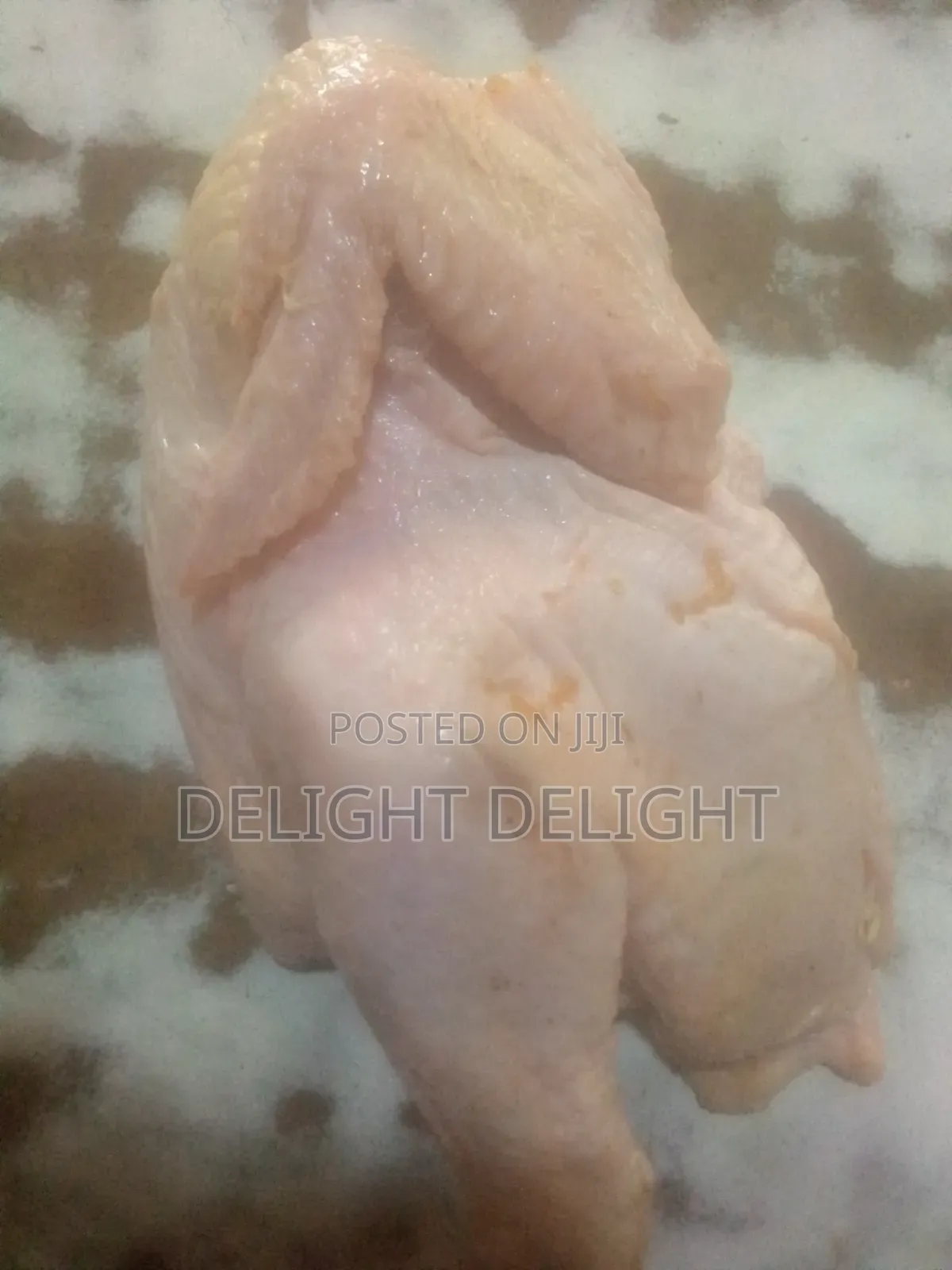 Fresh Broiler Chicken