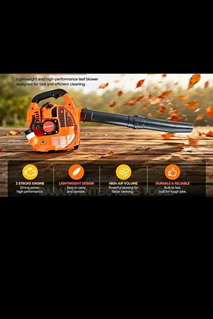 Efficient 2 Stroke Leaf Blower