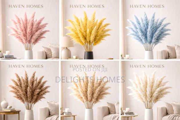 15pcs Dried Pampas Grass_hh