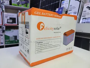 Felicity 12v 100ah Gel Battery