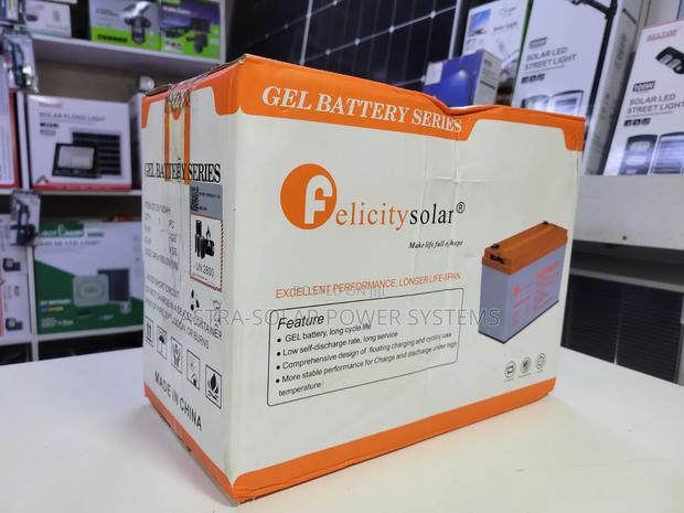 Felicity 12v 100ah Gel Battery - thumbnail 2