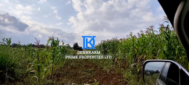 Plot for Sale – Limuru, Ndeiya (Makutano) - thumbnail 5