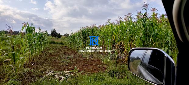 Plot for Sale – Limuru, Ndeiya (Makutano) - thumbnail 8