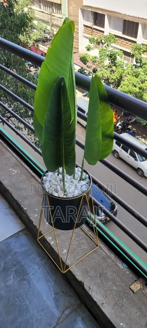Artificial Banana Plant / Potted Indoor Decor Tree