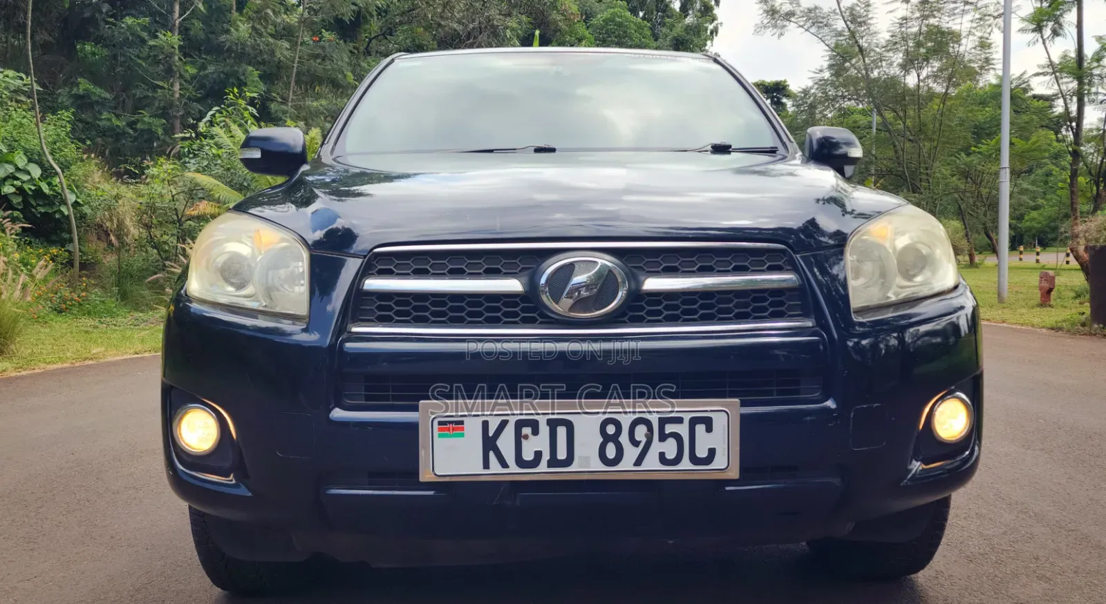 Toyota RAV4 2009 Blue