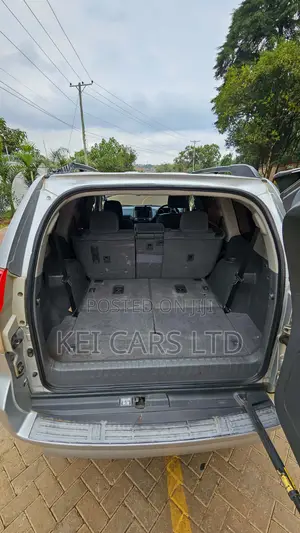 Toyota Land Cruiser 2009 Silver