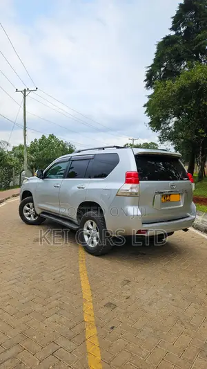 Toyota Land Cruiser 2009 Silver