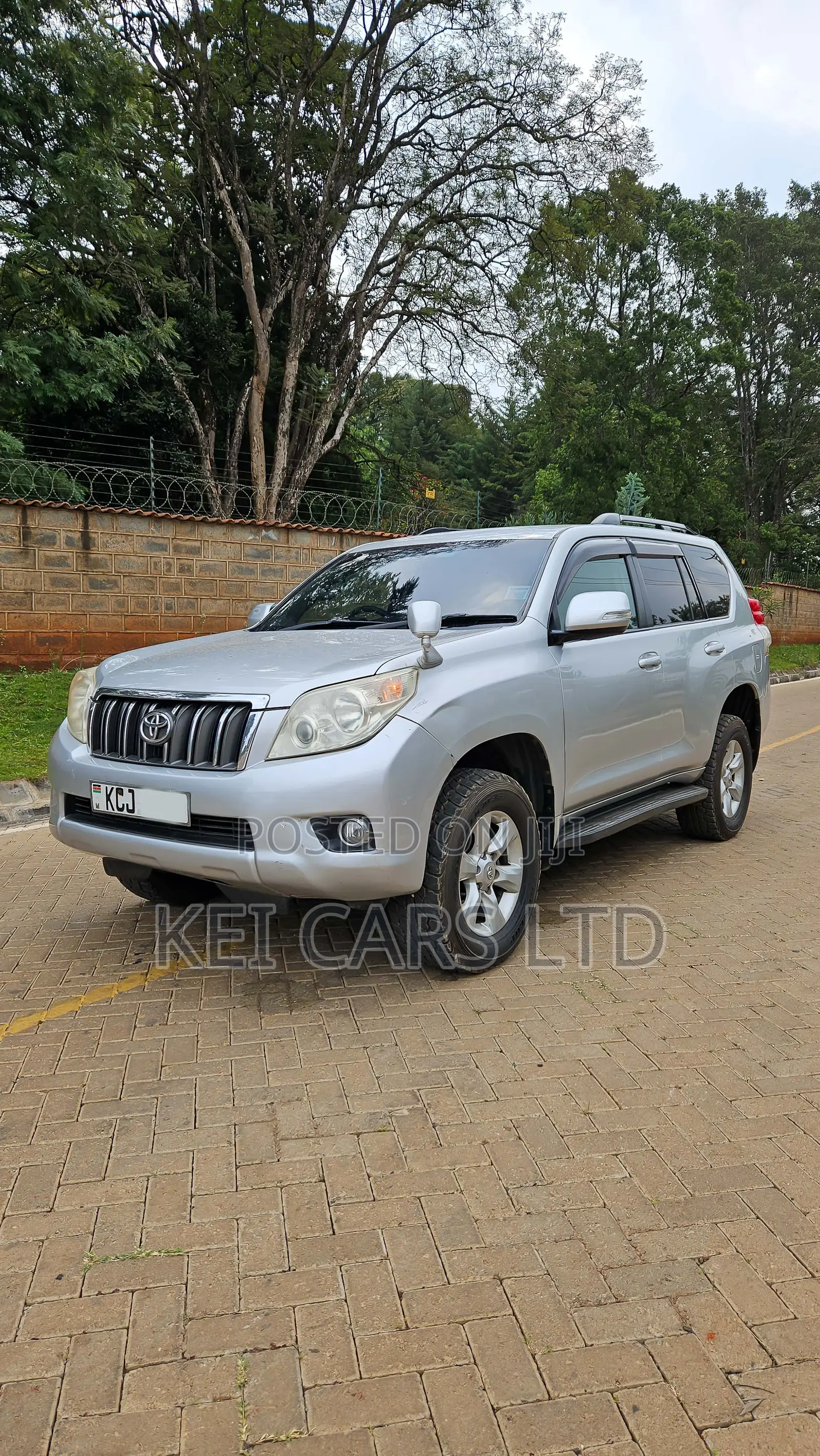 Toyota Land Cruiser 2009 Silver