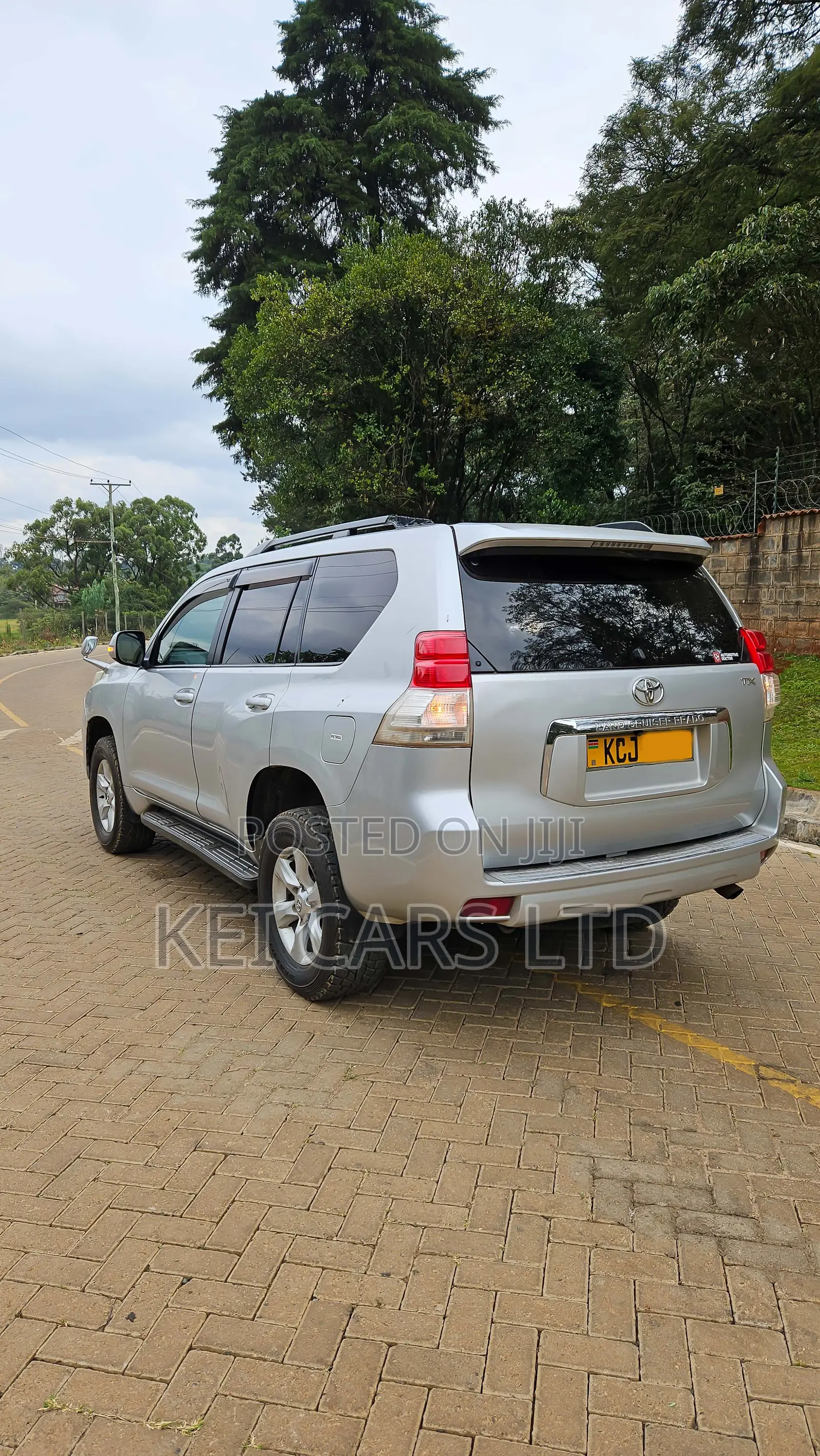 Toyota Land Cruiser 2009 Silver