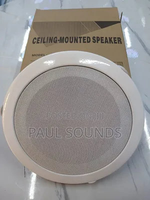 Generic Flush-Mount Ceiling Speaker 6 Inches