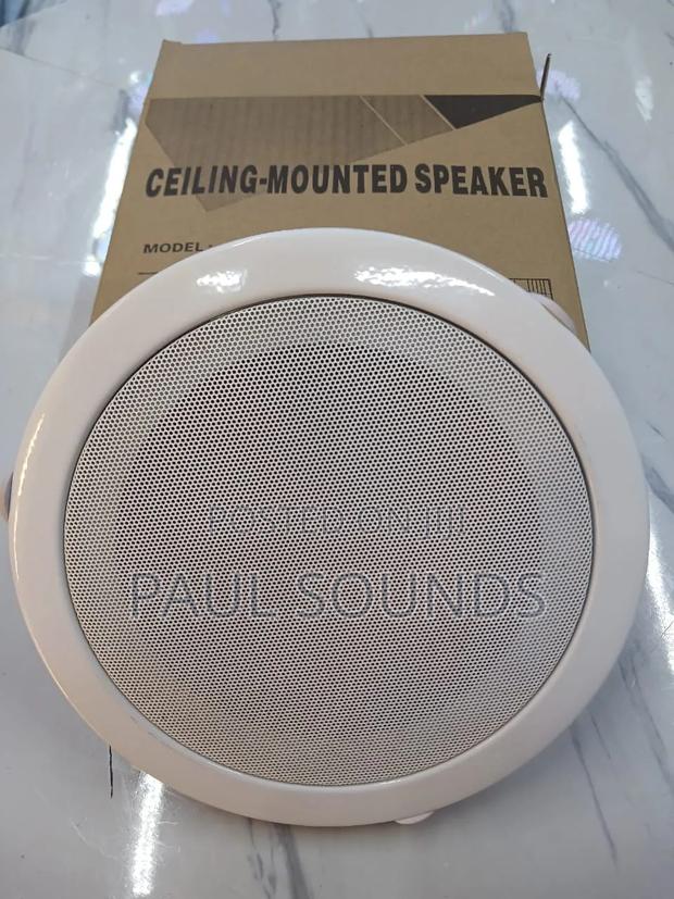 Generic Flush-Mount Ceiling Speaker 6 Inches