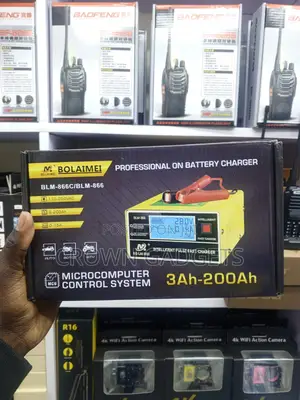 Bolaimei BLM-866c Smart 12v 24v Battery Charger With LCD