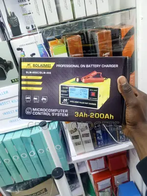 Bolaimei BLM-866c Smart 12v 24v Battery Charger With LCD