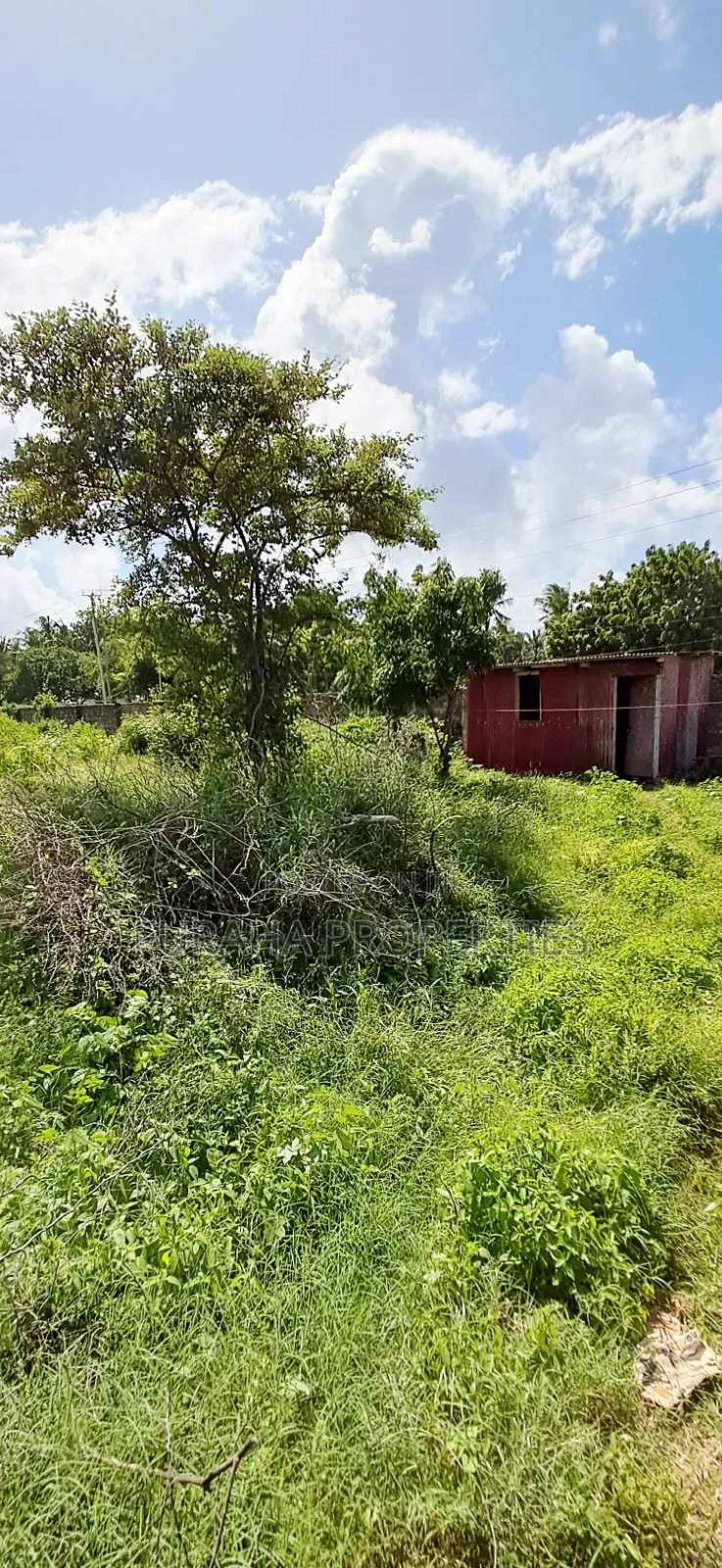 For Sale 2 Prime Eigth Acre Plots Shanzu