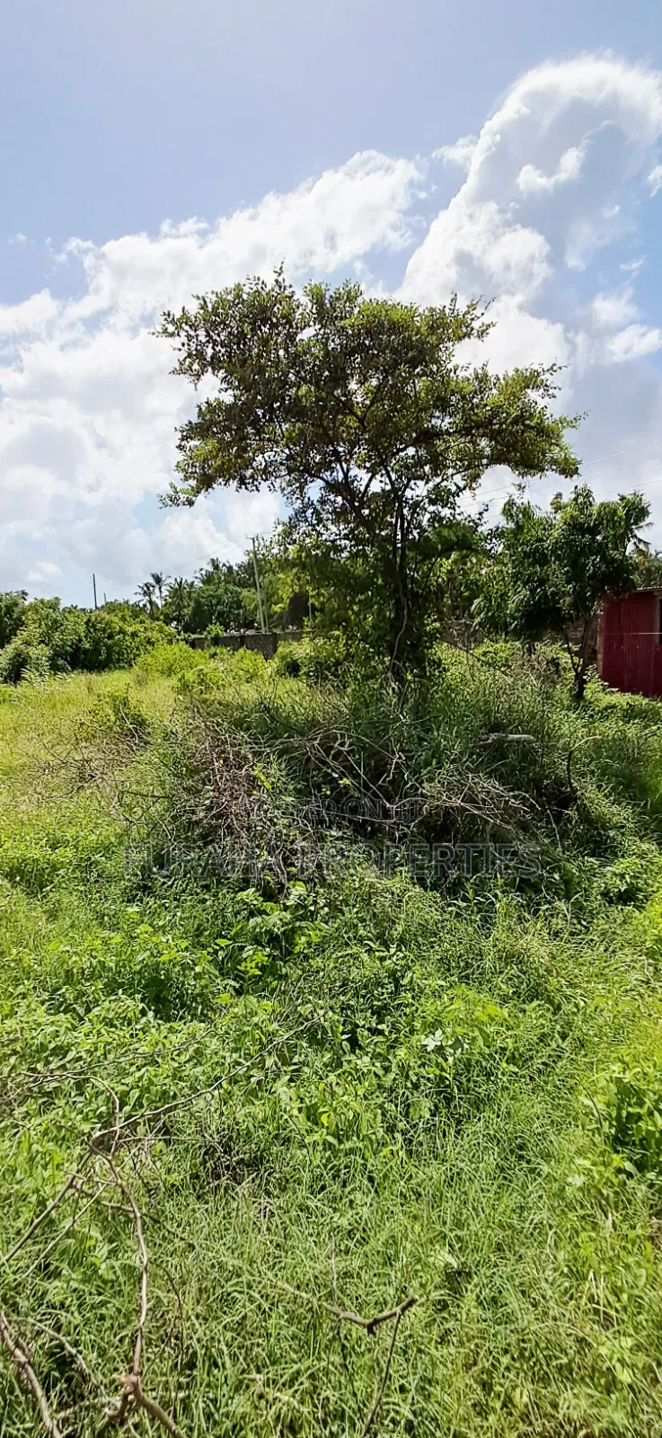 For Sale 2 Prime Eigth Acre Plots Shanzu