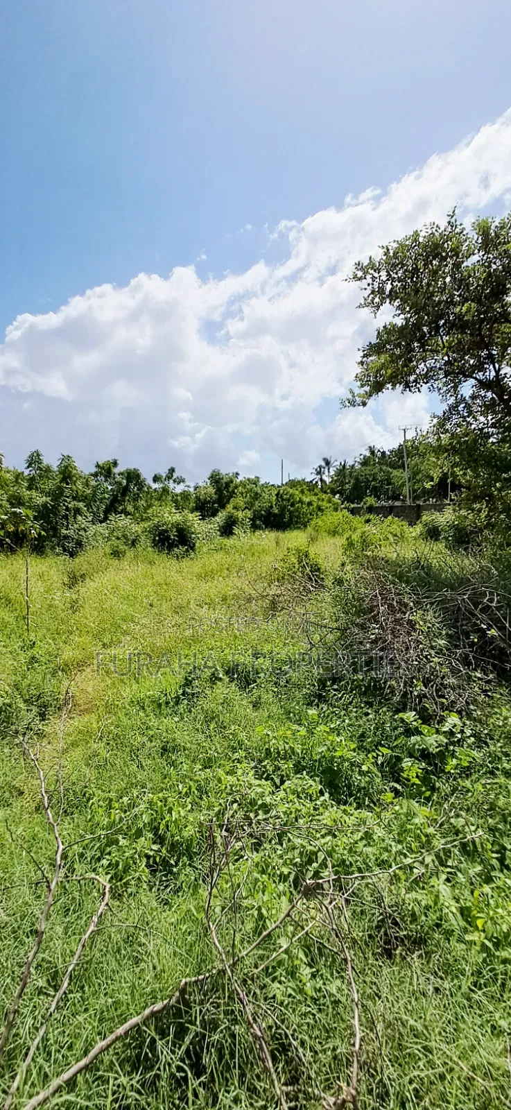 For Sale 2 Prime Eigth Acre Plots Shanzu