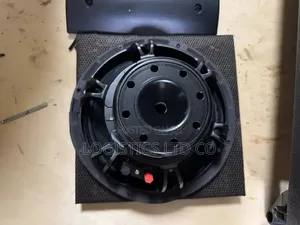 Neodymium 10 Inch Naked Speaker