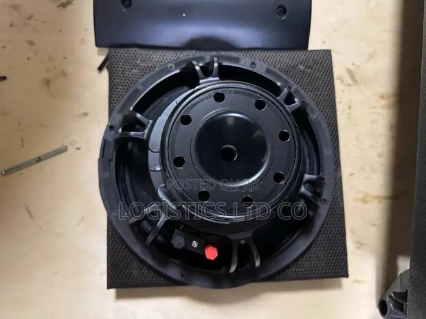 Neodymium 10 Inch Naked Speaker