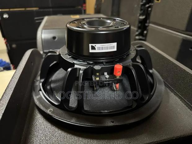 Neodymium 10 Inch Naked Speaker - thumbnail 2