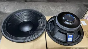15 Inches Naked Speaker