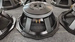 Pd Deep Bass Naked Speaker