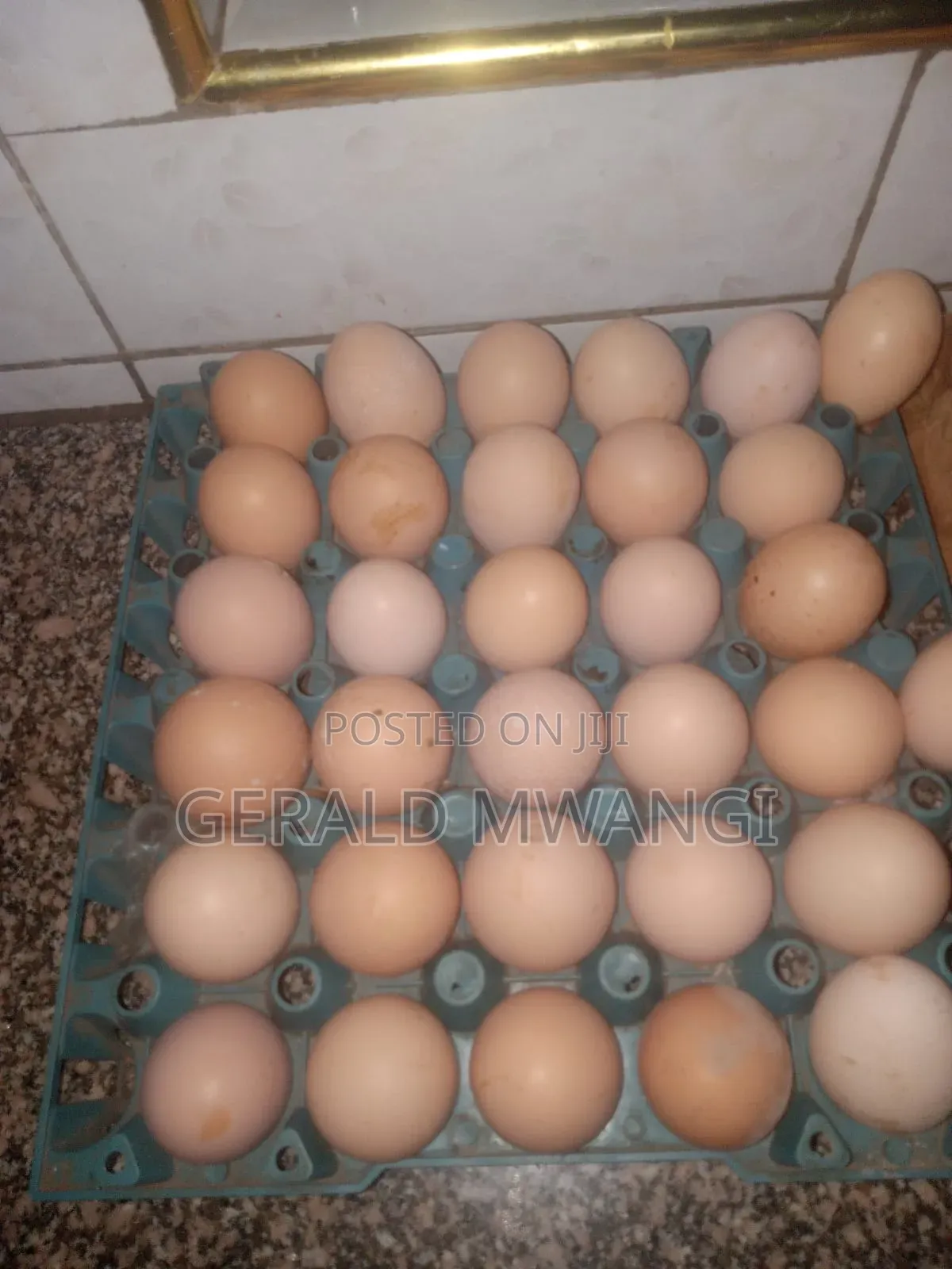 Poultry Farming