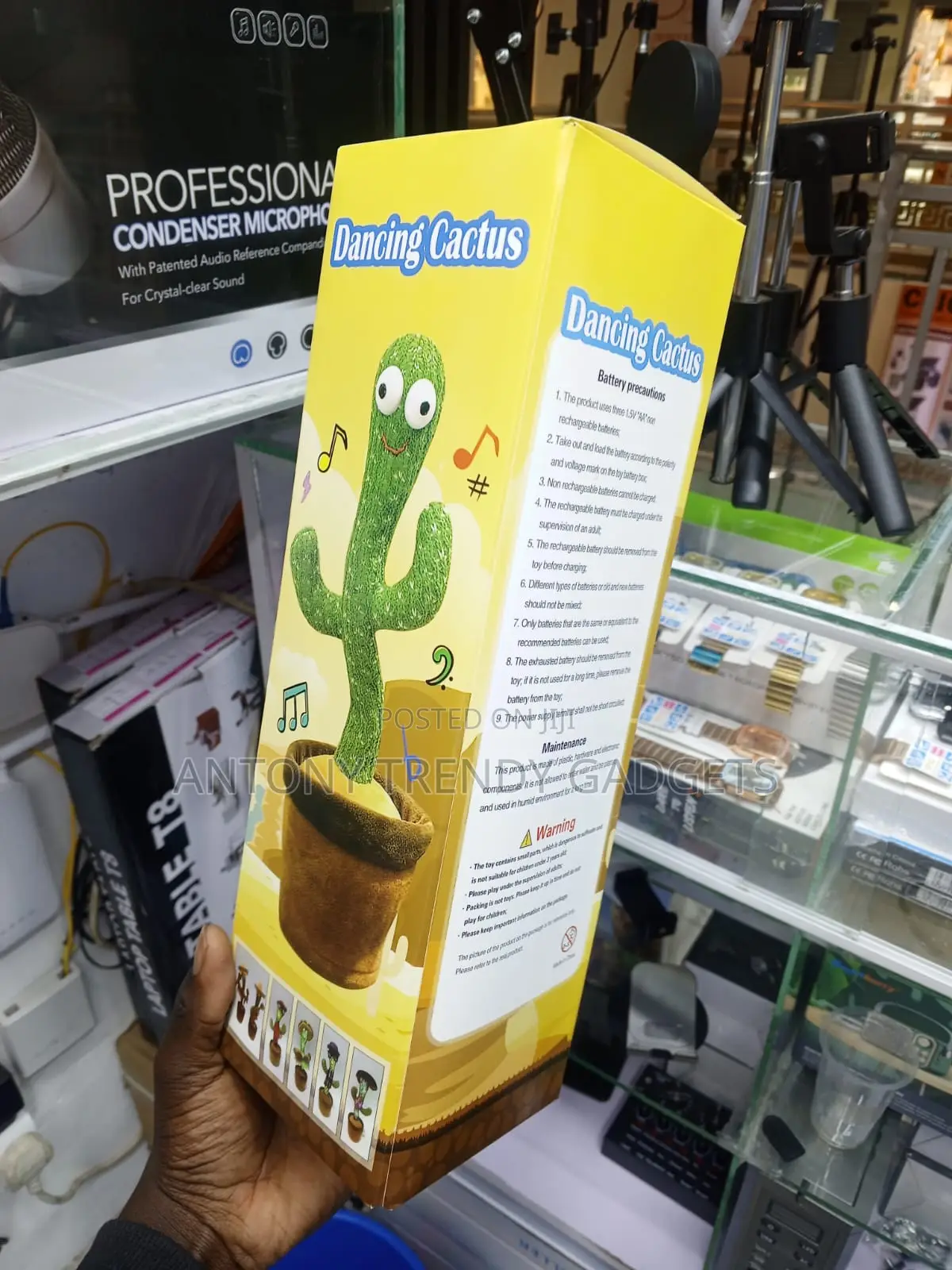 Dancing Cactus Repeating Toy for Kids With Sound Effects