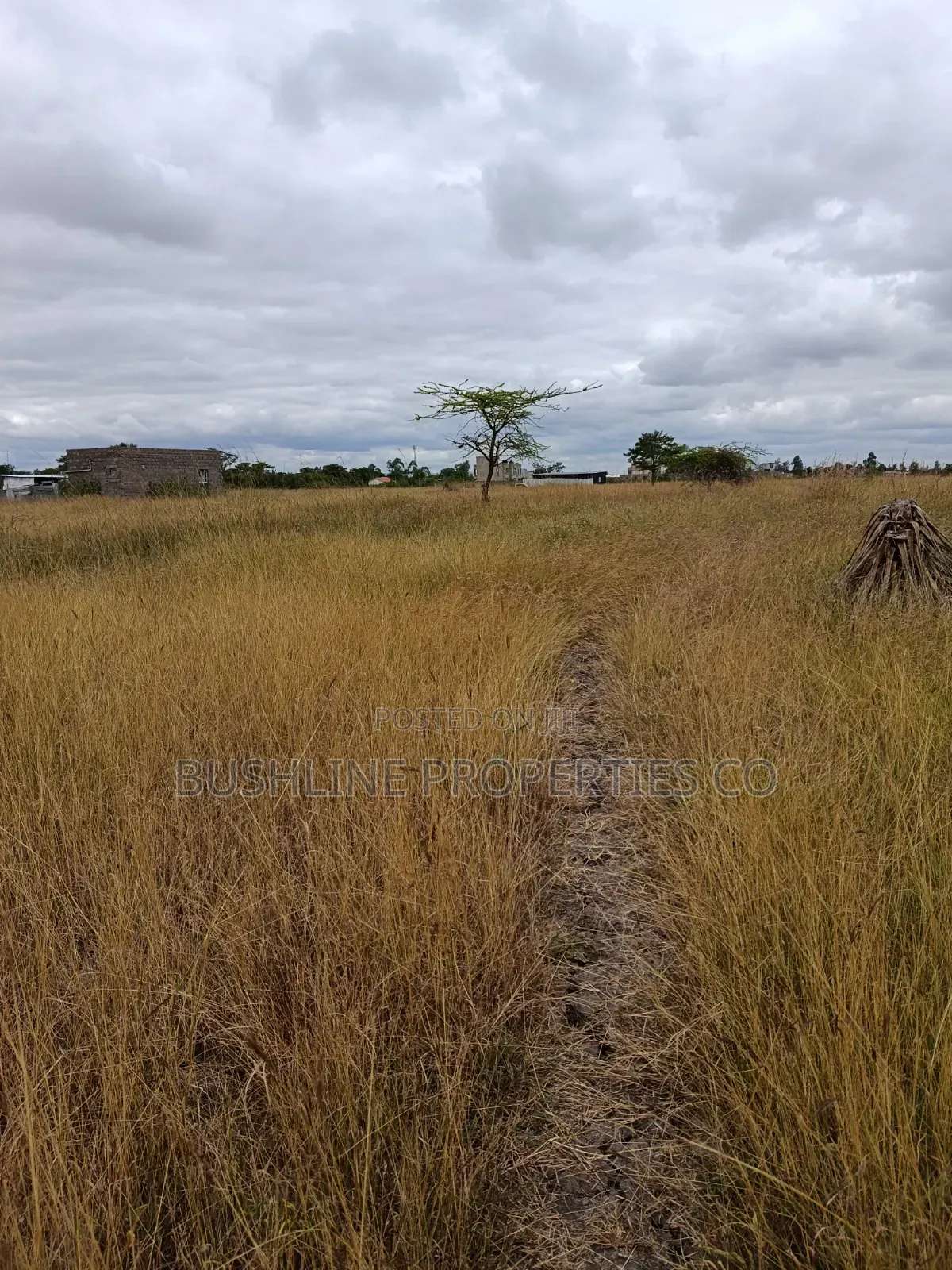 Prime Plots for Sale in Juja Farm
