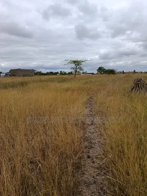 Prime Plots for Sale in Juja Farm