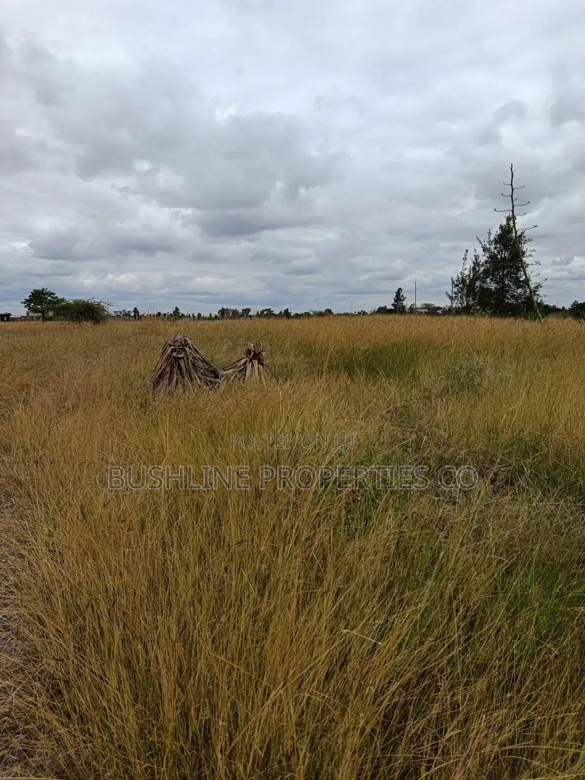 Prime Plots for Sale in Juja Farm