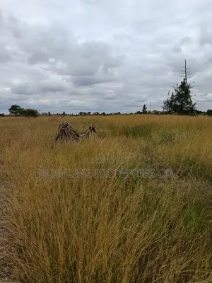 Prime Plots for Sale in Juja Farm