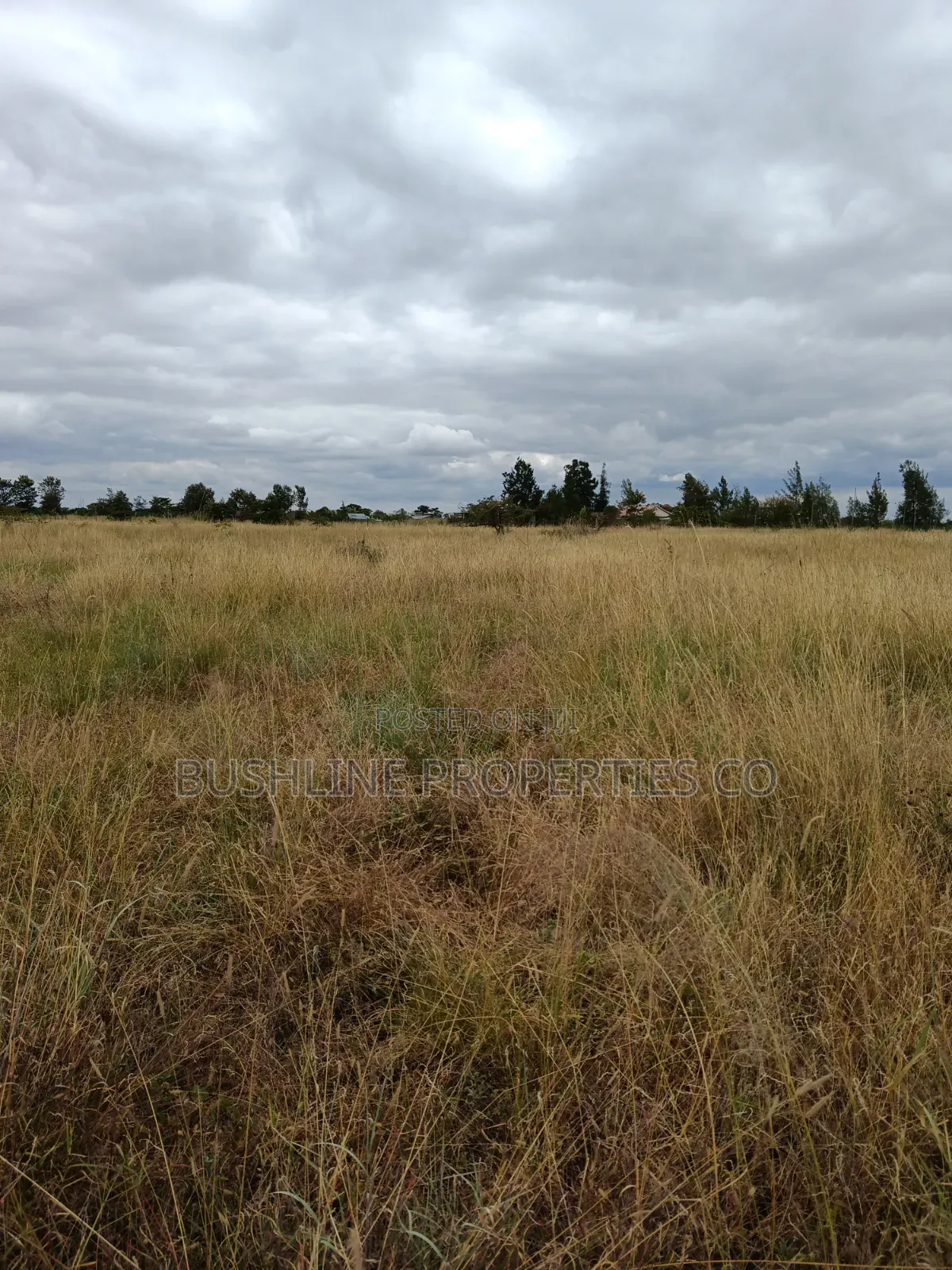 Prime Plots for Sale in Juja Farm