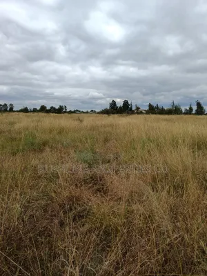 Prime Plots for Sale in Juja Farm