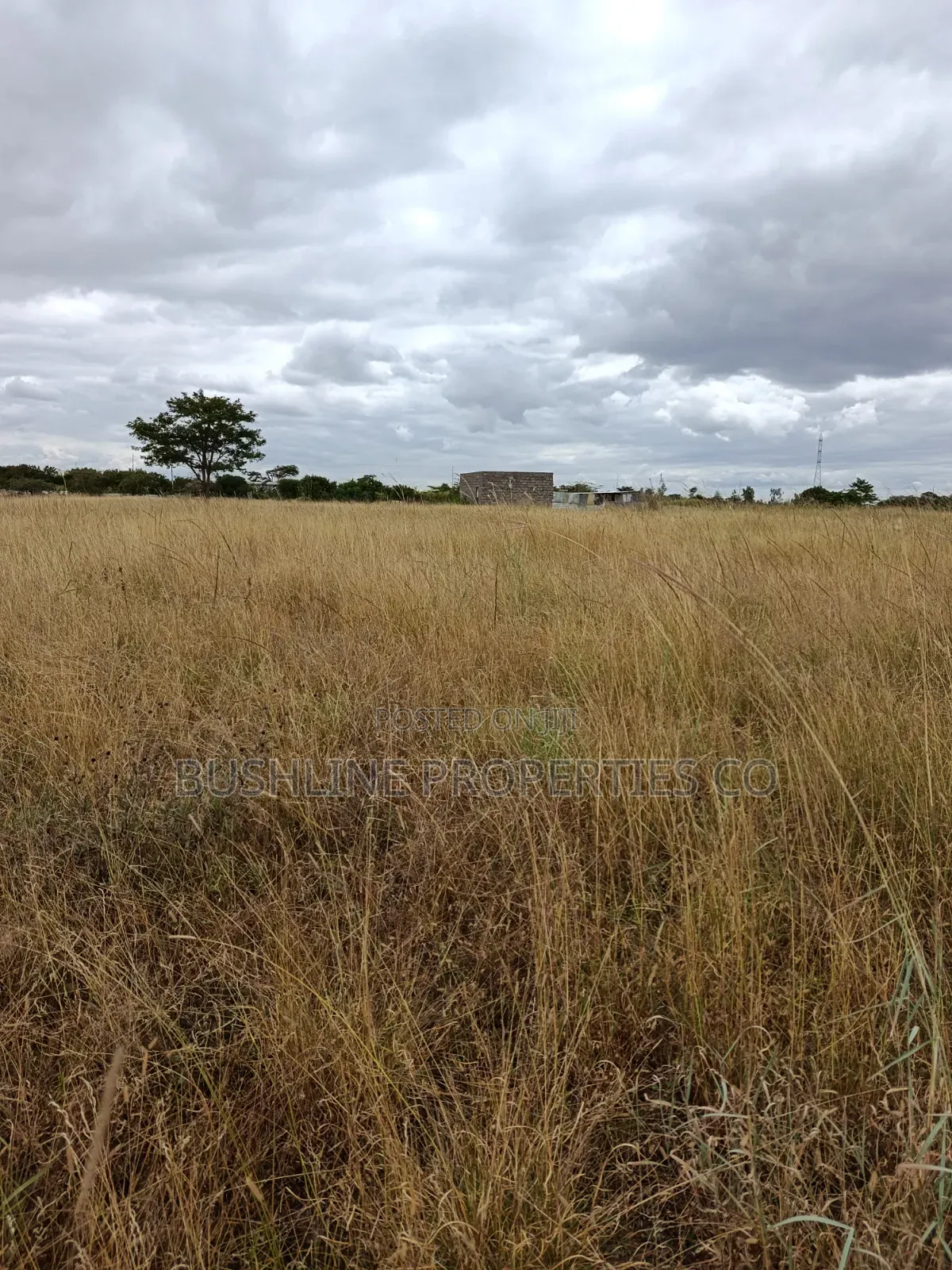 Prime Plots for Sale in Juja Farm