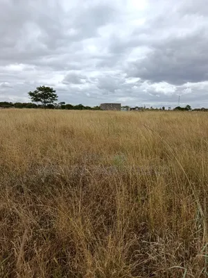 Prime Plots for Sale in Juja Farm