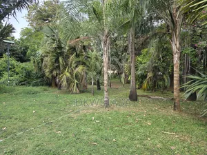 2.5 Acres Sea Front Nyali West