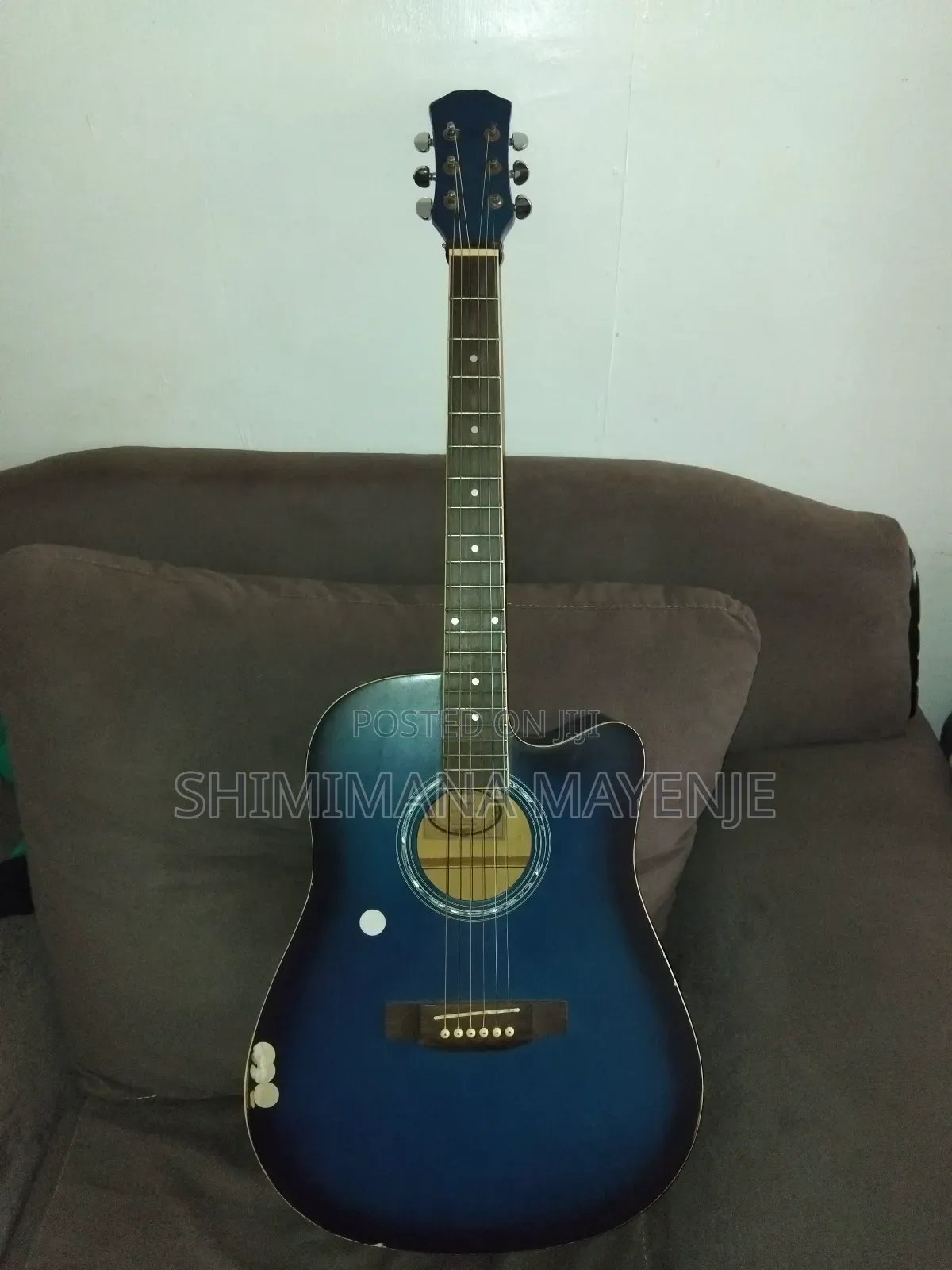Semi Acoustic Guitar