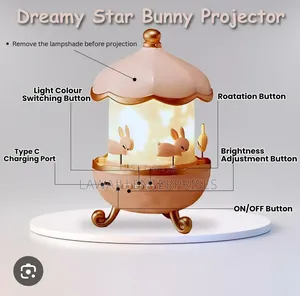 Rotating Rabbit Lamp