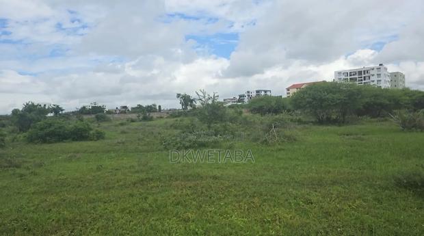 5 Acres Near Breaburn Utange - thumbnail 2