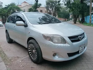 Toyota Corolla Fielder 2010 Silver