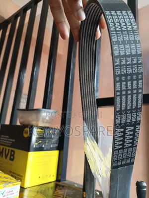 V-Belt Nissan Juke