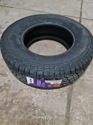 245/70 R16 Apollo Tires (All Terrein) India