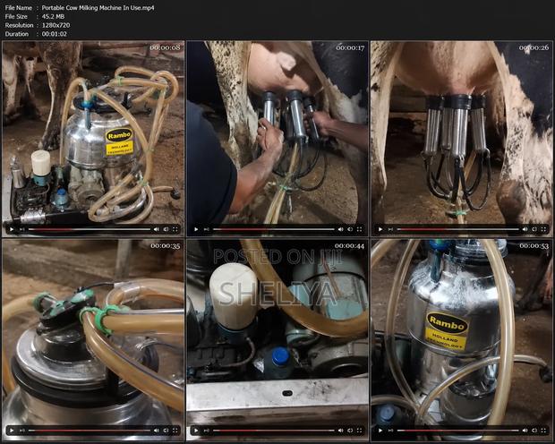 Portable Cow Milking Machine
