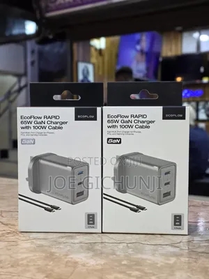 Ecoflow Rapid 65w Gan Charger With 100w Cable
