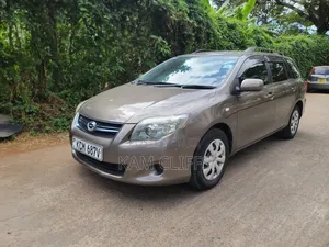 Toyota Corolla Fielder 2009 Gray