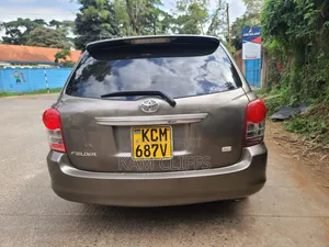 Toyota Corolla Fielder 2009 Gray